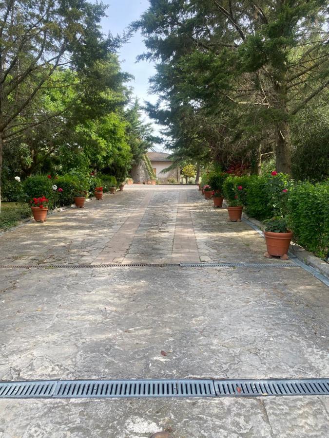 Trasimeno 2 Apartamento Casamaggiore Exterior foto